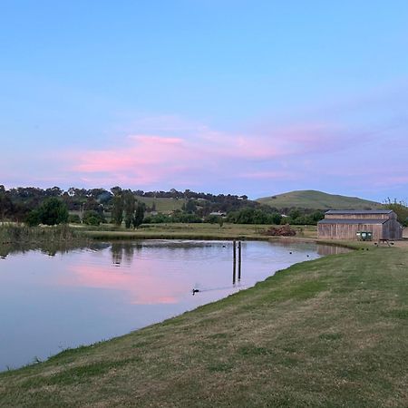 Mansfield Holiday Park ภายนอก รูปภาพ