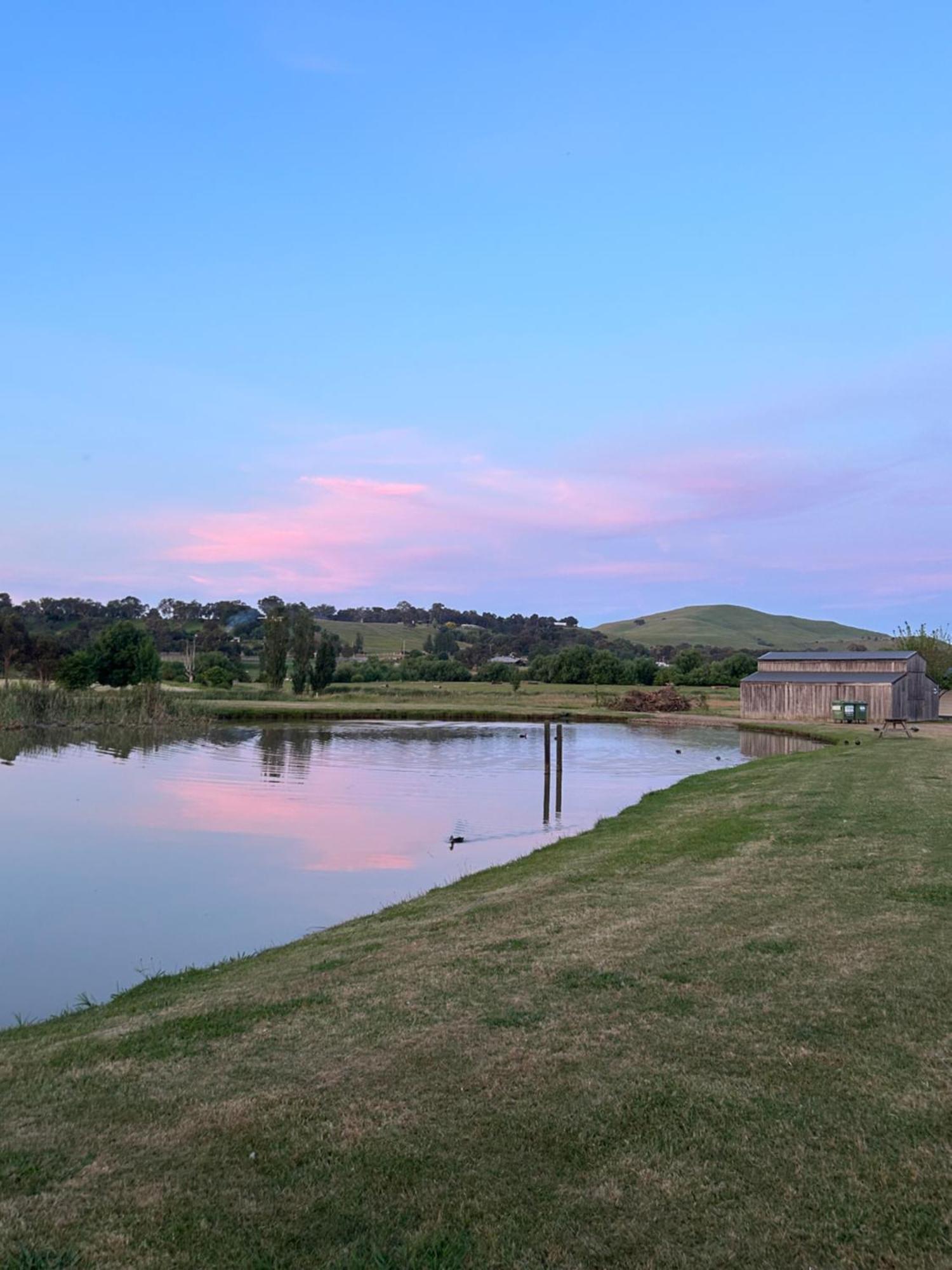 Mansfield Holiday Park ภายนอก รูปภาพ